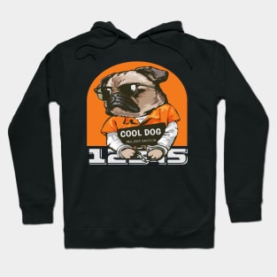 Cool Dog Hoodie